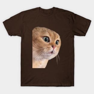 Cat boyfriend couple relationship meme T-Shirt